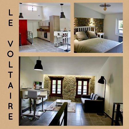 Le Voltaire Apartment Carcassonne Exterior foto