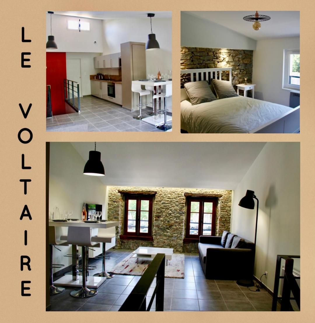 Le Voltaire Apartment Carcassonne Exterior foto